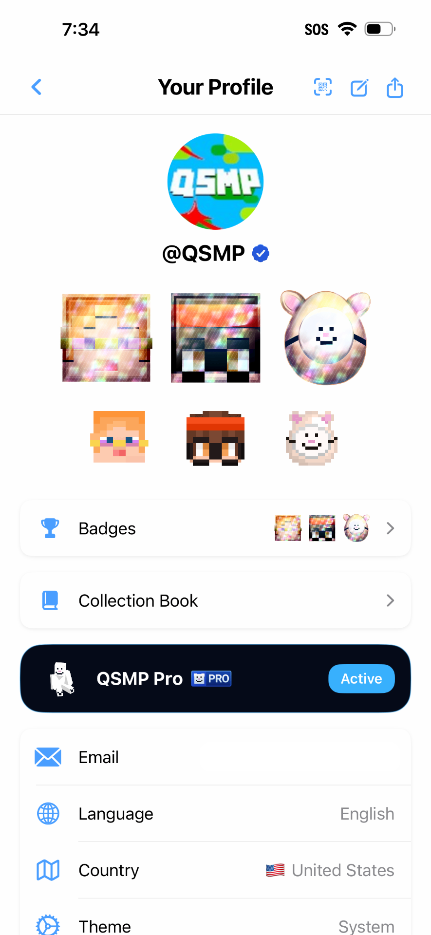 Your profile with badges and skins